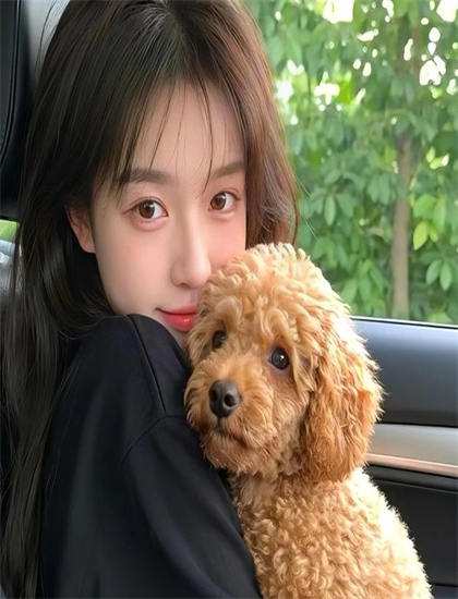 在线播放一区二区精品产_哎呀女朋友在线观看_唐宫夜宴视频